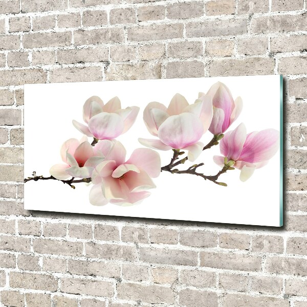 Acrylic print Magnolia