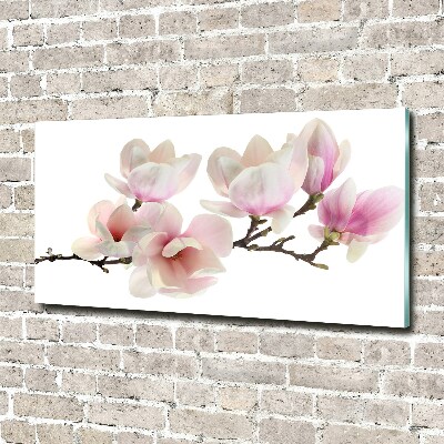 Acrylic print Magnolia