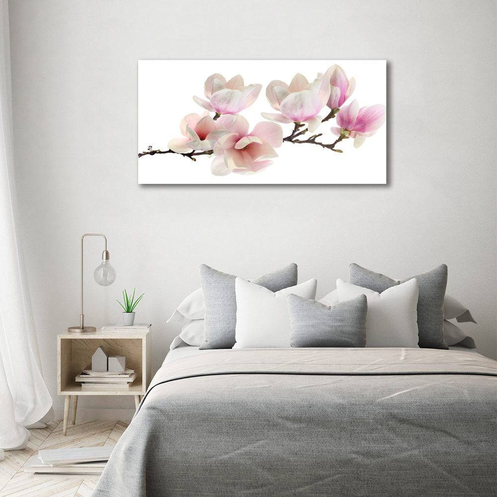 Acrylic print Magnolia