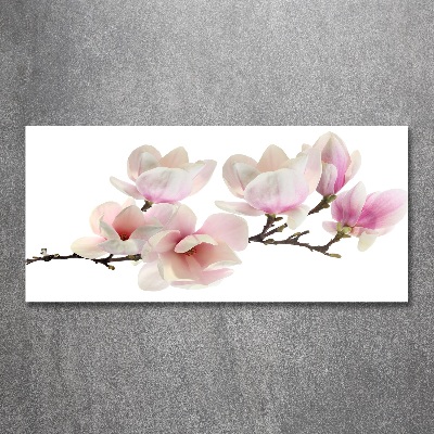 Acrylic print Magnolia