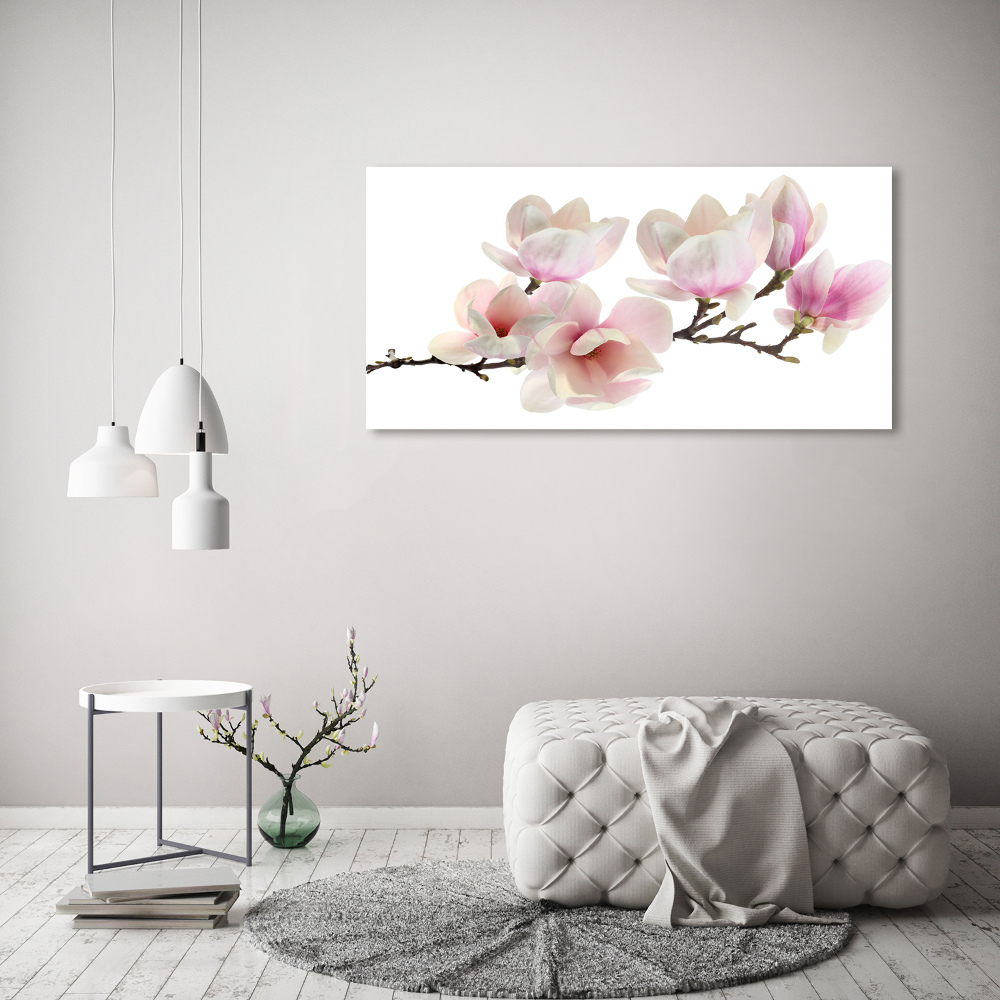 Acrylic print Magnolia