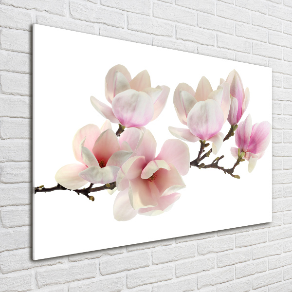 Acrylic print Magnolia