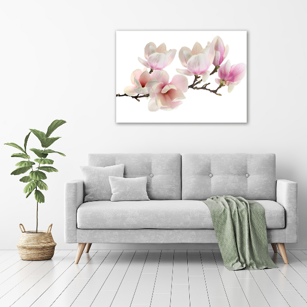 Acrylic print Magnolia