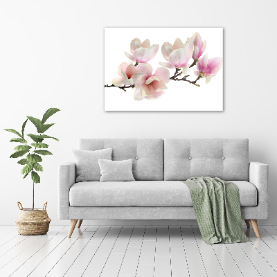 Acrylic print Magnolia