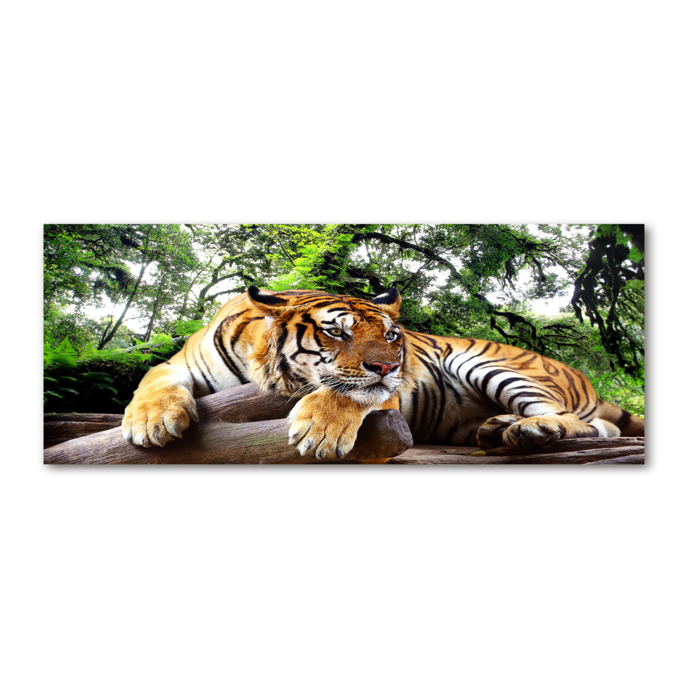 Acrylic wall picture Tiger on the rock