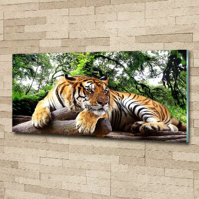 Acrylic wall picture Tiger on the rock