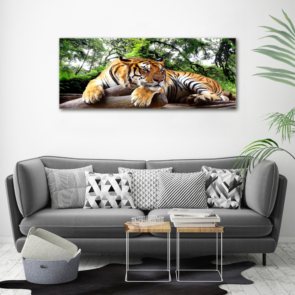 Acrylic wall picture Tiger on the rock