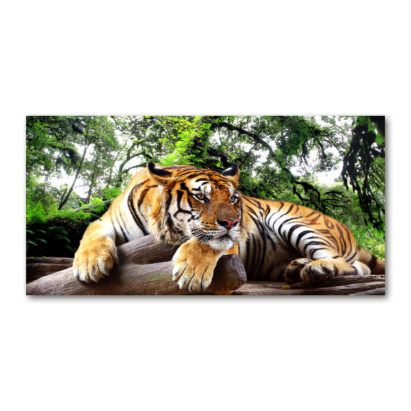 Acrylic wall picture Tiger on the rock