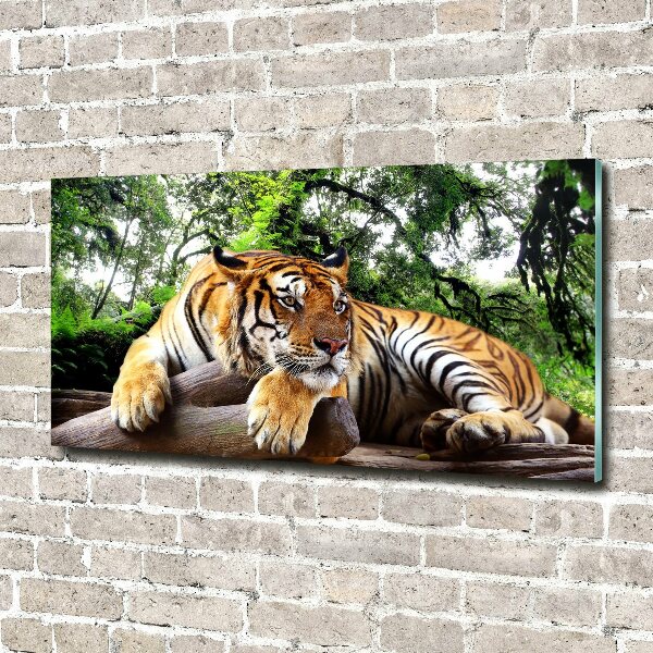 Acrylic wall picture Tiger on the rock