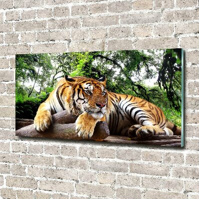 Acrylic wall picture Tiger on the rock