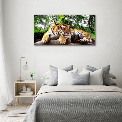 Acrylic wall picture Tiger on the rock