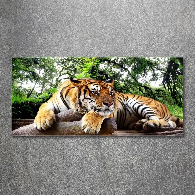 Acrylic wall picture Tiger on the rock