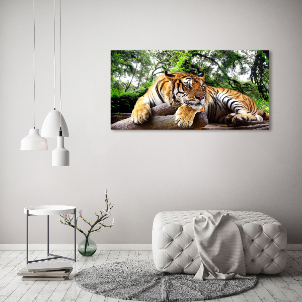 Acrylic wall picture Tiger on the rock