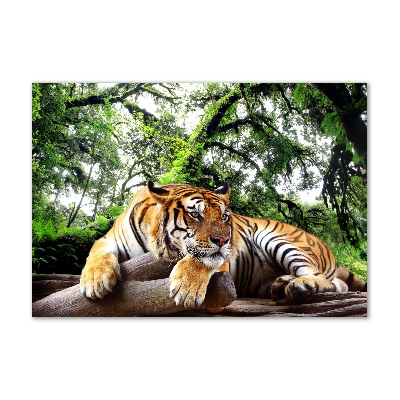 Acrylic wall picture Tiger on the rock