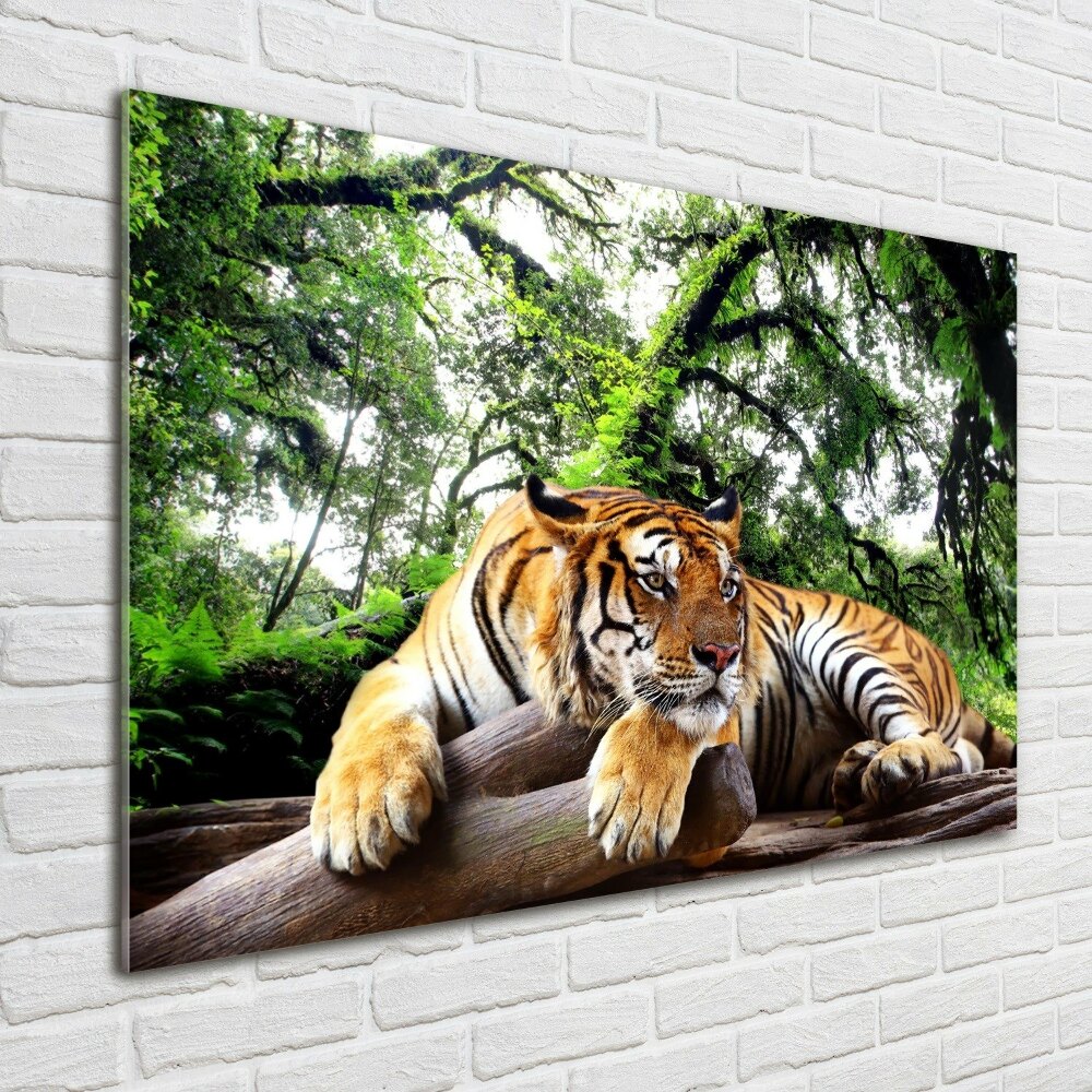 Acrylic wall picture Tiger on the rock