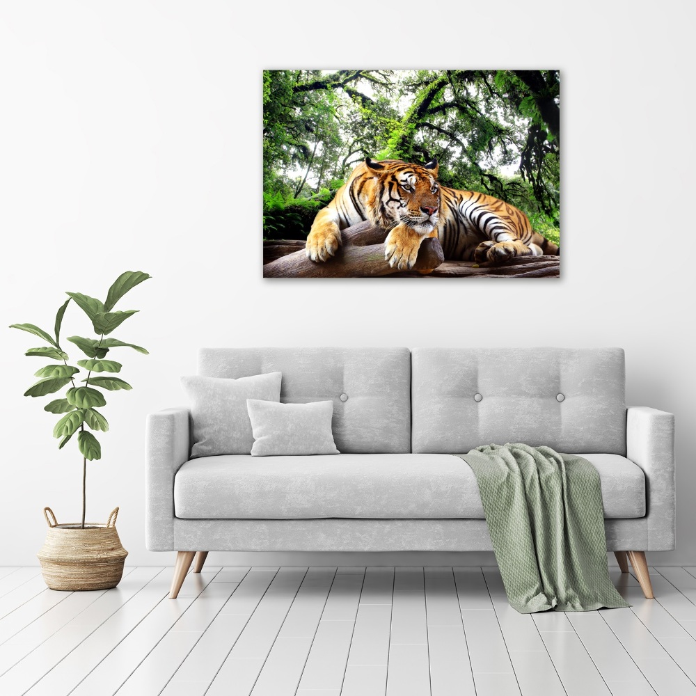 Acrylic wall picture Tiger on the rock