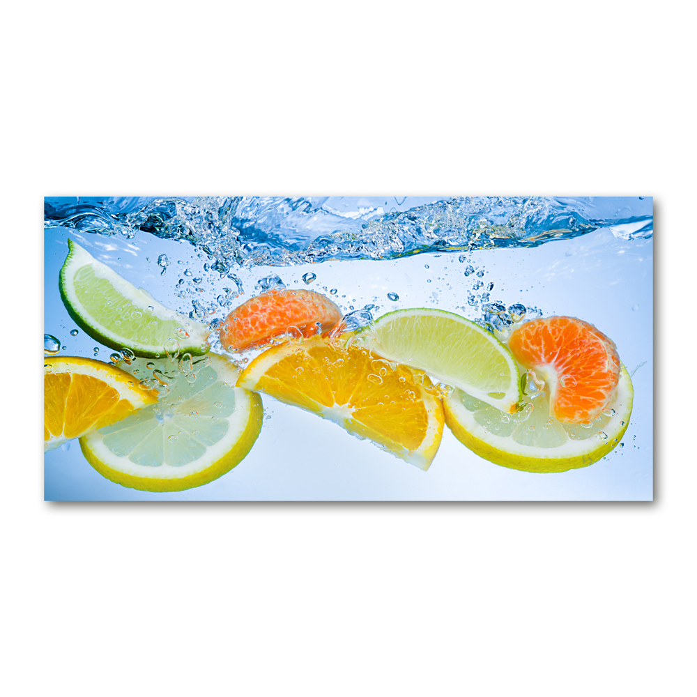 Acrylic wall art Citruses under water