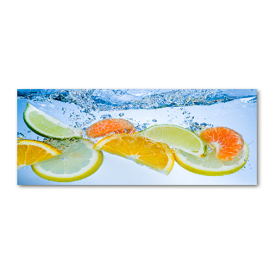 Acrylic wall art Citruses under water