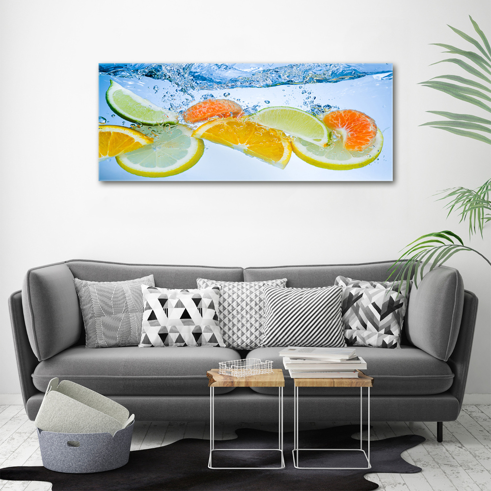 Acrylic wall art Citruses under water