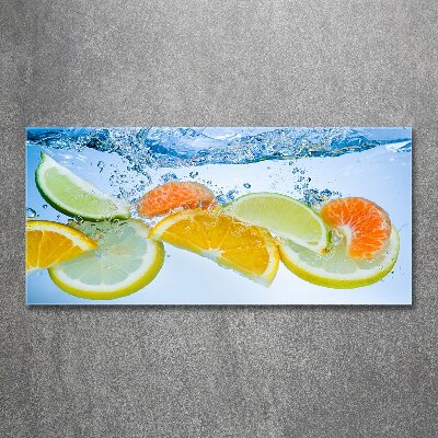 Acrylic wall art Citruses under water