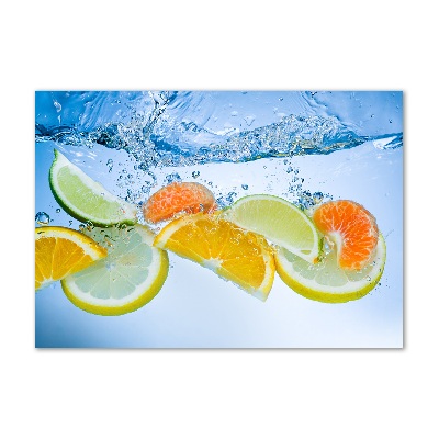 Acrylic wall art Citruses under water