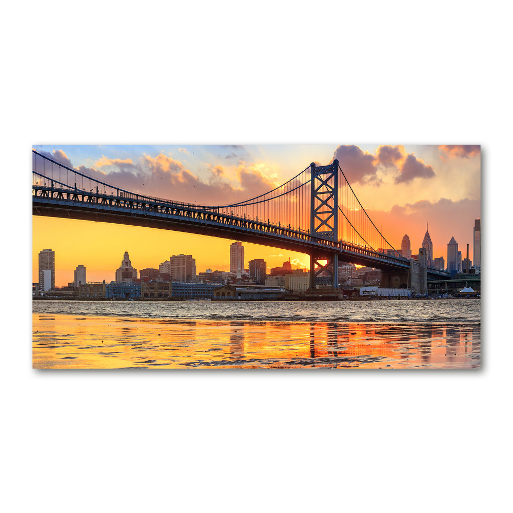 Wall art acrylic Philadelphia bridge