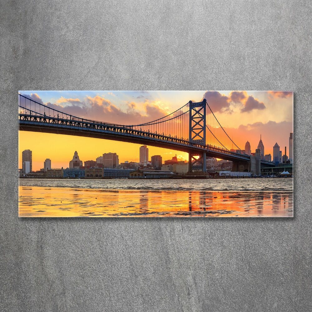 Wall art acrylic Philadelphia bridge