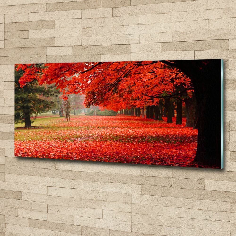 Wall art acrylic Trees in autumn