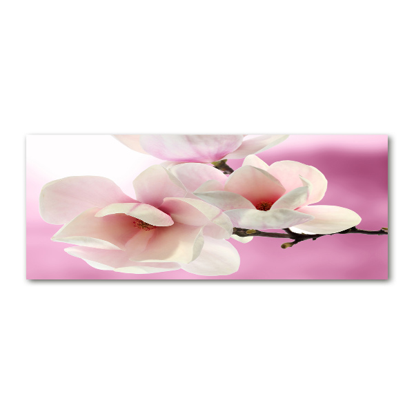 Wall art acrylic Magnolia