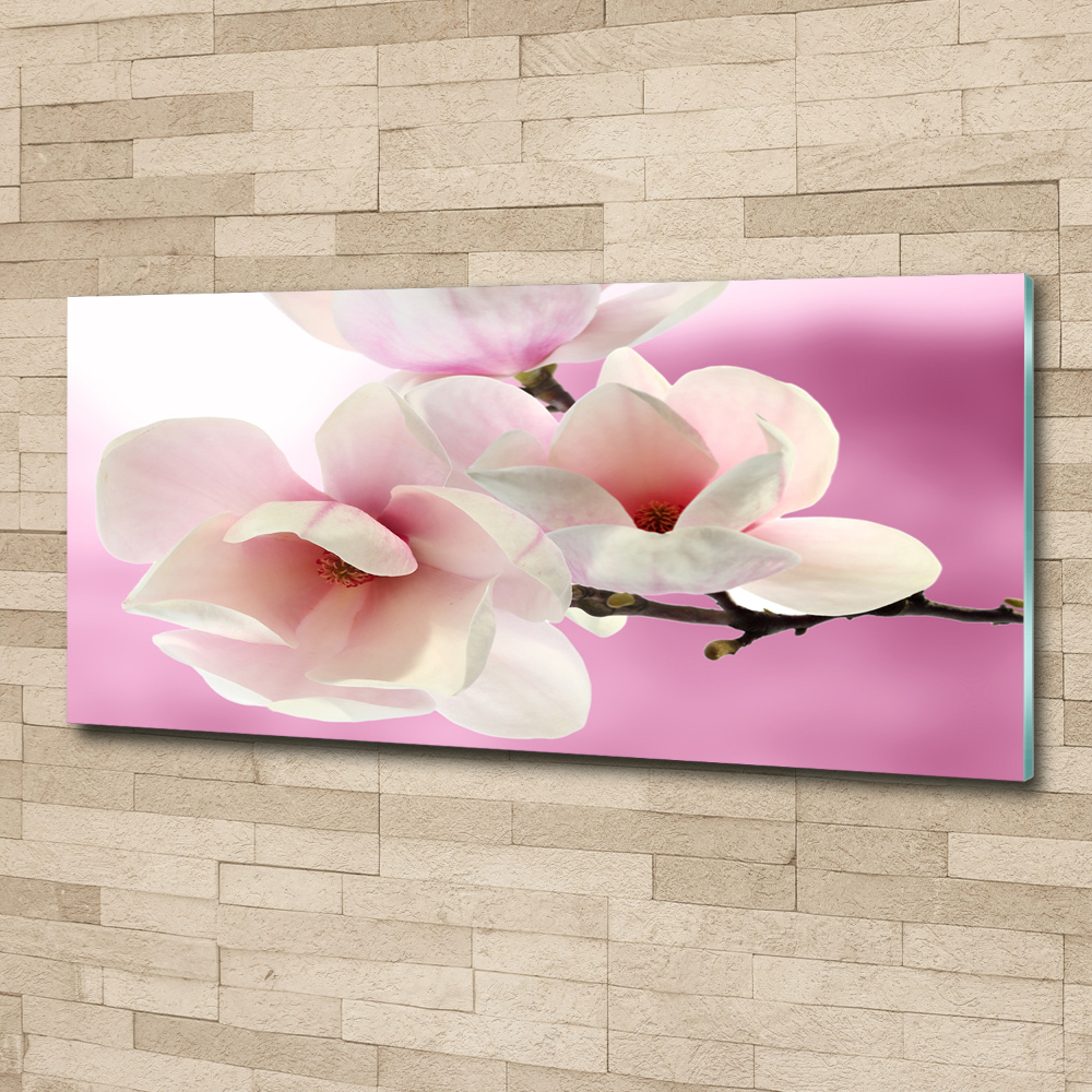 Wall art acrylic Magnolia