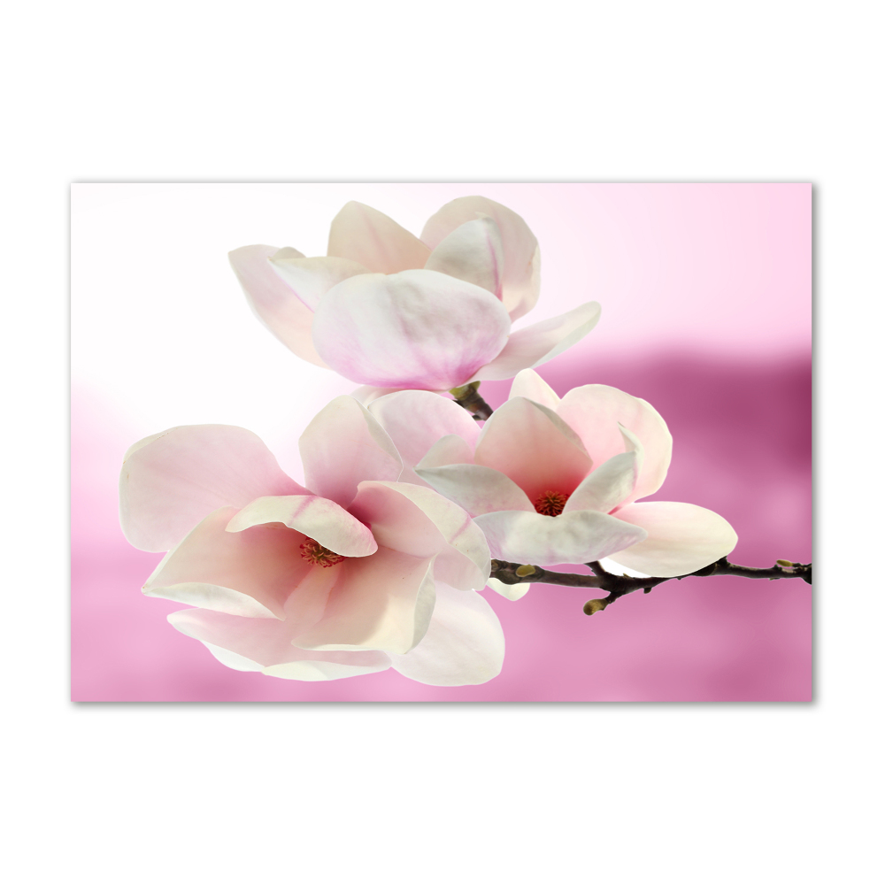 Wall art acrylic Magnolia