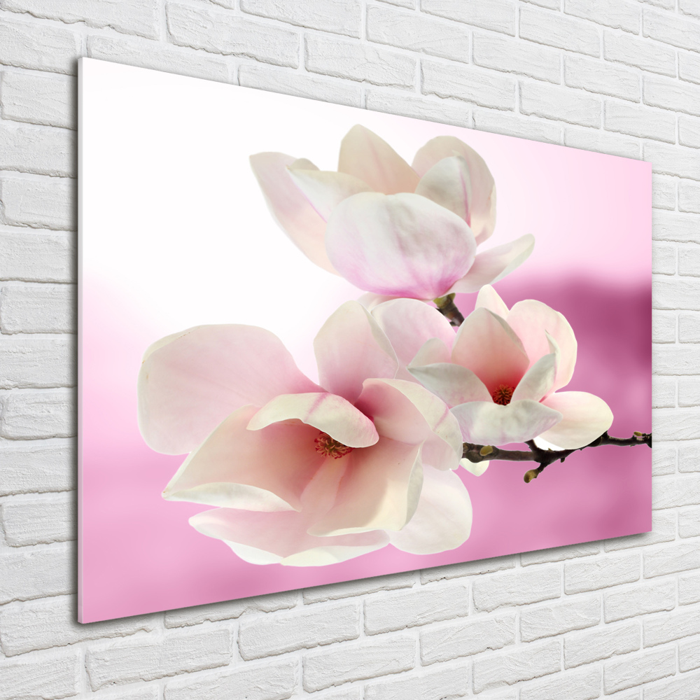 Wall art acrylic Magnolia