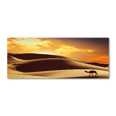 Acrylic wall art Sahara camel