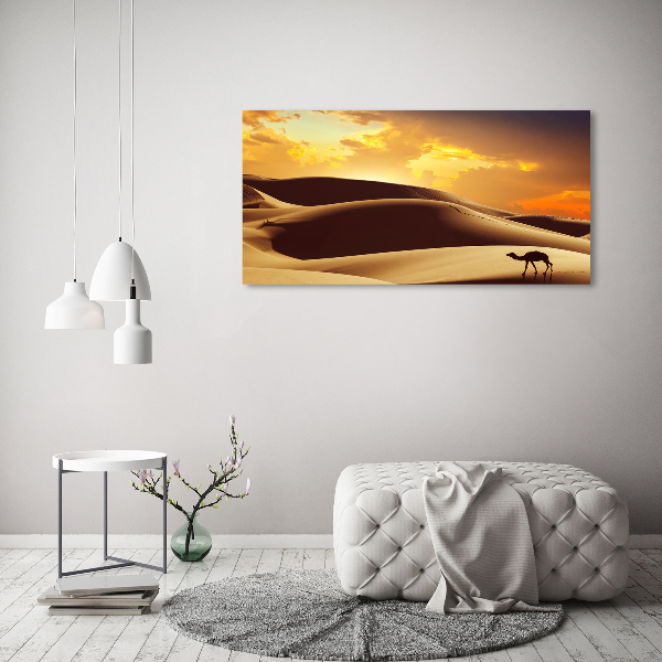 Acrylic wall art Sahara camel