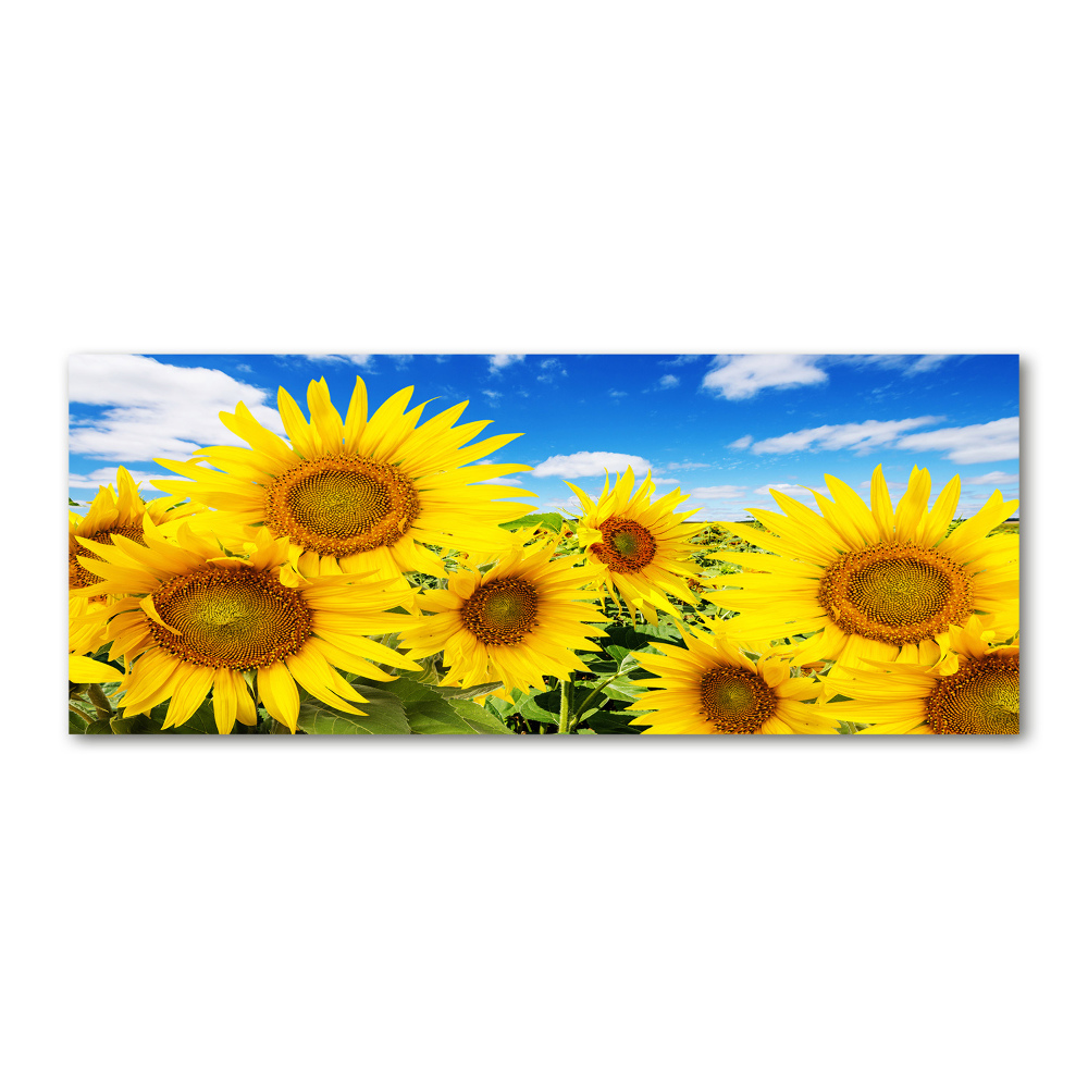 Wall art acrylic Sunflowers