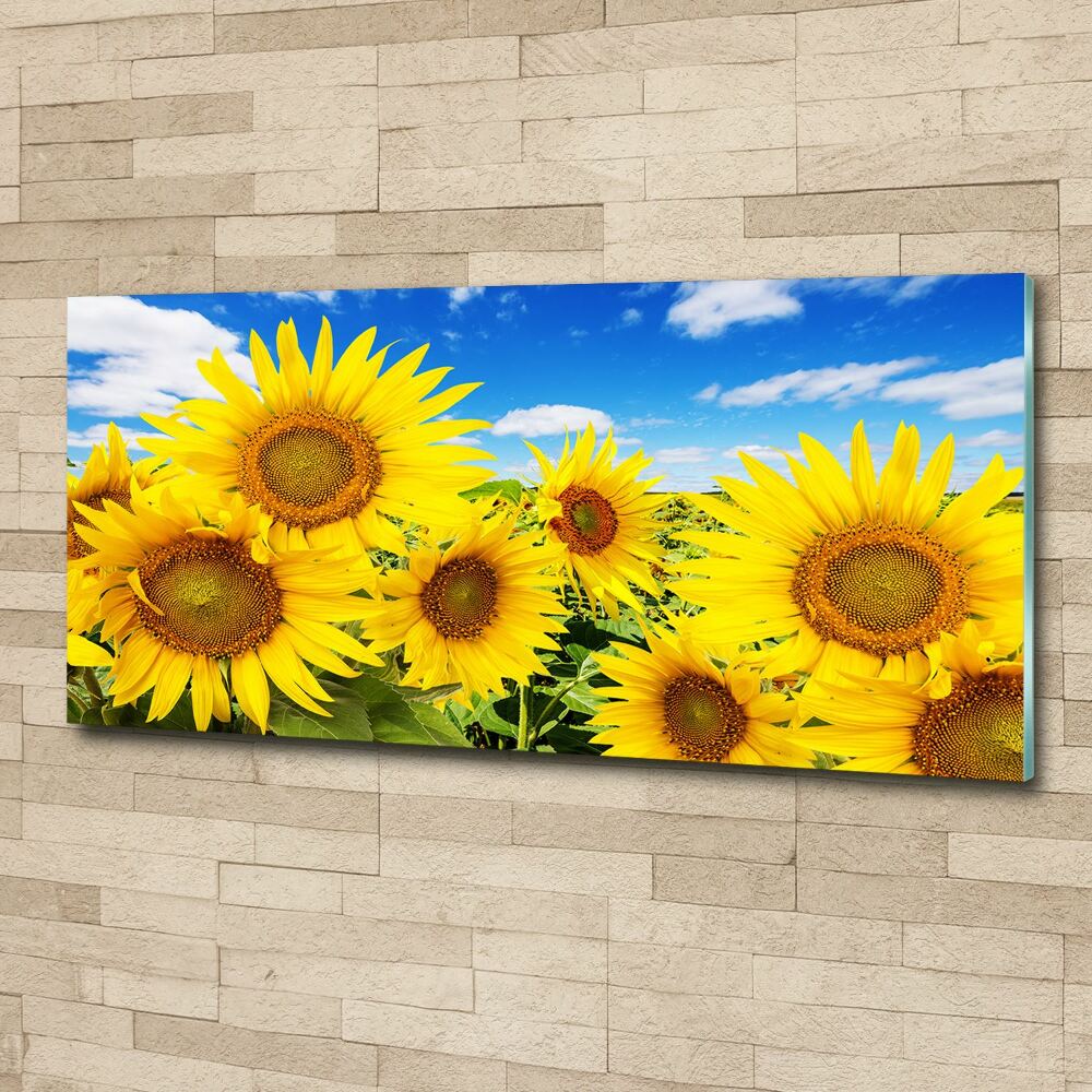 Wall art acrylic Sunflowers