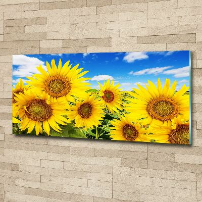 Wall art acrylic Sunflowers