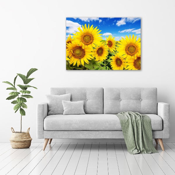 Wall art acrylic Sunflowers