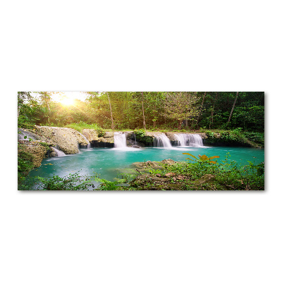 Acrylic wall art Waterfall in the forest