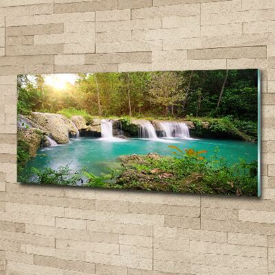 Acrylic wall art Waterfall in the forest