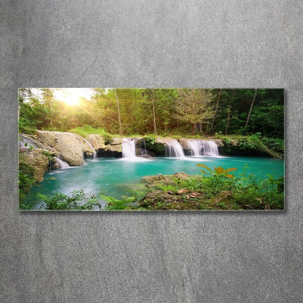 Acrylic wall art Waterfall in the forest