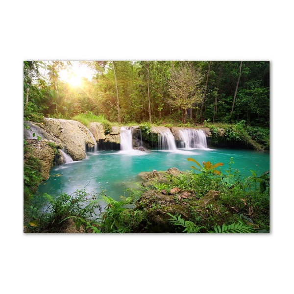 Acrylic wall art Waterfall in the forest