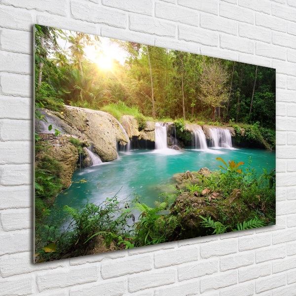 Acrylic wall art Waterfall in the forest