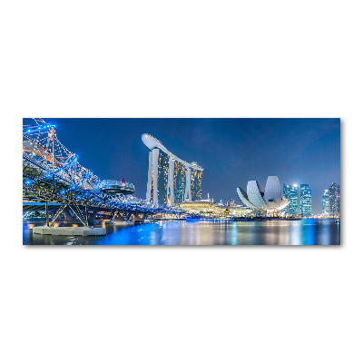 Acrylic print Singapore at night