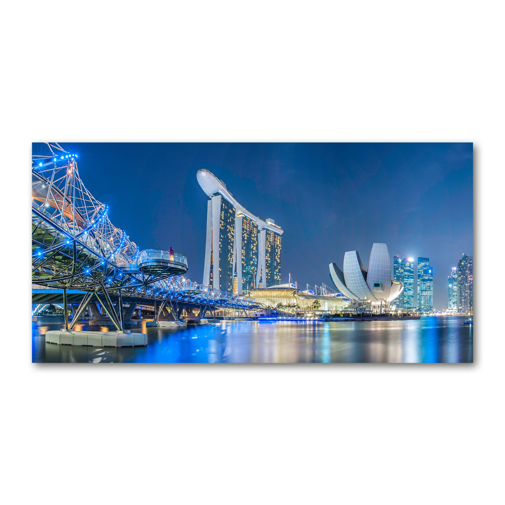 Acrylic print Singapore at night