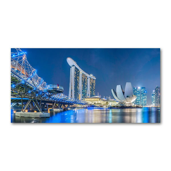 Acrylic print Singapore at night