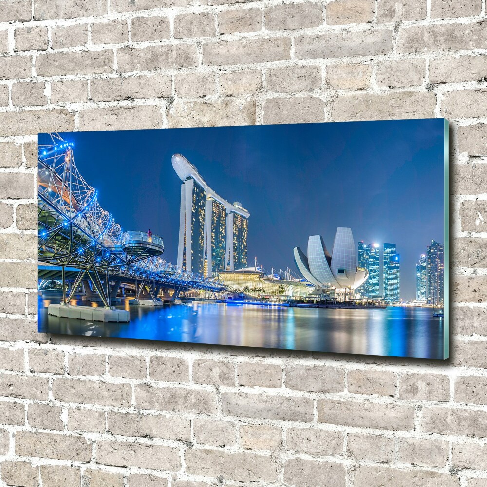 Acrylic print Singapore at night