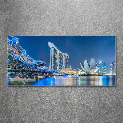 Acrylic print Singapore at night