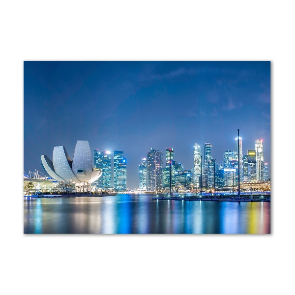 Acrylic print Singapore at night