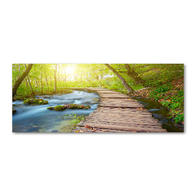 Acrylic wall art Path in the forest